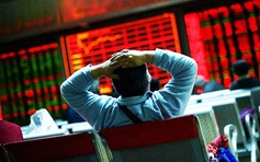 Cổ phiếu bị bán tháo đẩy VN-Index lao dốc xuống dưới 1.600 điểm