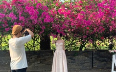 Hoa giấy rực rỡ cả một góc trời, giới trẻ đổ xô đến check-in