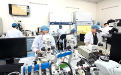 Tiến sĩ danh dự, giáo sư danh dự không thay thế cho học vị, học hàm