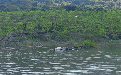 Phát hiện thi thể nam nổi trên hồ Đá Trải, công an Gia Lai vào cuộc