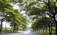 Những tuyến đường ai cũng muốn đi qua giữa thời tiết nắng nóng gay gắt ở TP.HCM