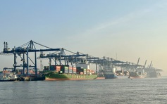 Cước tàu biển tăng thêm 4.000 USD, nhiều tuyến tạm ngưng