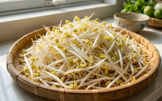 Giá đỗ: Giá trị dinh dưỡng, những ai cần lưu ý khi ăn?