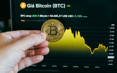 Giá Bitcoin hôm nay 31.3.2026: Giảm 6 tháng liên tiếp