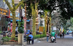 Cận cảnh cây xanh 'gánh' đèn trang trí, biển hiệu ở Hà Nội