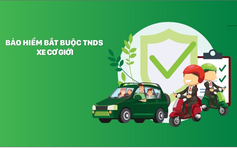 ‘Lưới an sinh’ xuyên biên giới và bài học từ láng giềng
