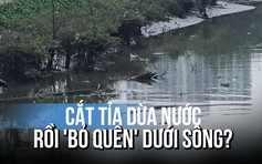 Cắt tỉa cây xanh, dừa nước không thu gom gây bức xúc: Đơn vị quản lý nói gì?