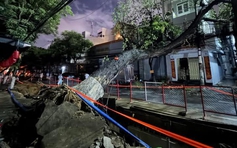 Cây cổ thụ bật gốc đè nhà dân nghi do đào đường thi công dự án