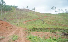 Truông Mây lưu dấu cuộc khởi nghĩa Chàng Lía