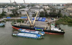 Ẩn số giá phân bón trong nước