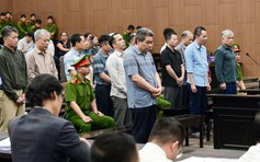 Luật sư kể nỗi khổ doanh nghiệp hối lộ 40 tỉ, 'không ai muốn chạy chọt'