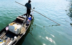 Xử phạt người lái ghe máy, kích điện tận diệt thủy sản ở Đà Nẵng