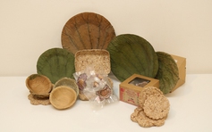 Bao bì sinh học từ lục bình: Giải pháp khởi nghiệp của nhóm sinh viên Cần Thơ