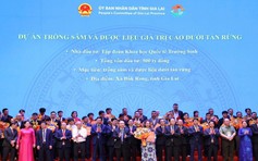 Hành trình nâng tầm Quốc bảo Sâm Việt: Bước tiến trong chuẩn hóa dược liệu Việt Nam