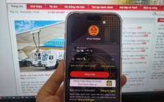 Cách xử lý khi bị khai khống thu nhập cá nhân
trên eTax Mobile