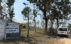 Ong tấn công tổ kiểm tra rừng, 1 người tử vong, 4 người cấp cứu