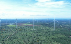 Gia Lai thu hút 10 dự án năng lượng, vốn 74.000 tỉ đồng