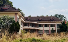 TP.HCM: Lấy trụ sở Cục thống kê Bình Dương cũ, mở rộng Trường tiểu học Phú Lợi