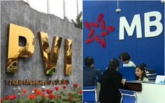 Hàng loạt khoản đầu tư 'bết bát' tại MB và PVI
