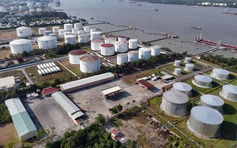 Xử phạt 3 doanh nghiệp đầu mối xăng dầu, 5 doanh nghiệp khác đang vào 'tầm ngắm'