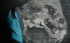 Tìm thấy soái hạm của Đan Mạch bị đánh chìm trong hải chiến 225 năm trước