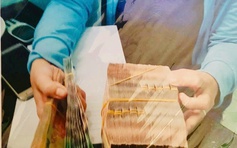 Cựu Phó chủ tịch Hội Chữ thập đỏ Bình Dương làm giả sổ đỏ đem cầm lấy tiền