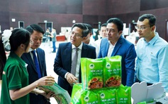 'Hạ tầng cảnh quan mềm' là chìa khóa cho chuyển đổi xanh bền vững Đà Nẵng