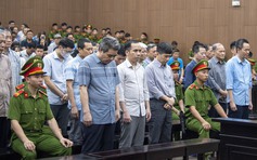 Giám đốc hối lộ 40 tỉ cho các cựu quan chức Bộ NN-PTNT kháng cáo