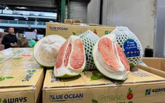 Bưởi Việt Nam chính thức 'lên kệ' tại Úc