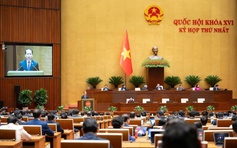 Quốc hội đồng ý thí điểm chế định luật sư công tại 8 bộ, 10 tỉnh thành