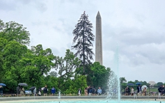 Nước Mỹ giữa chia rẽ: Tổng thống Trump có sắp suy giảm quyền lực?