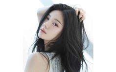 Ca sĩ ngoại ở Việt Nam: Làm sao để đi đường dài?