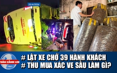 Toàn cảnh 17h: Lật xe chở 39 hành khách ở Lào Cai | Bất thường thu mua xác ve sầu giá cao