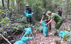 Vườn quốc gia Kon Ka Kinh: Nơi phục hồi sự sống cho động vật hoang dã
