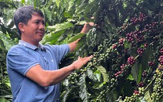 Một phần của ký ức