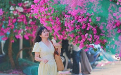 'Đường hầm' hoa giấy rực rỡ dài 300 m ở Nha Trang, khách kéo đến check-in