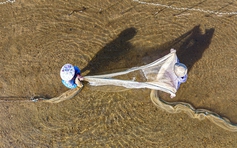 Mưu sinh trên sông Trà: Nương phù sa mà sống, theo con nước mà đi