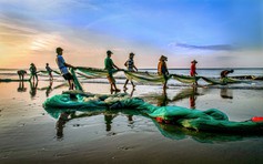 'Đi thành phố' - nhịp sống lâu đời của người xứ biển