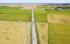 'Chứng thư' đặc biệt của loại gạo 3 lần ngon nhất thế giới