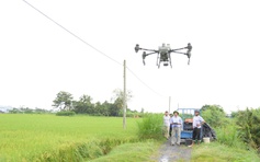 Nông nghiệp công nghệ cao ở đất sen hồng
