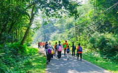 Nghỉ lễ 30.4 - 1.5: Lượng khách tăng cao, thông báo quan trọng từ rừng Cúc Phương