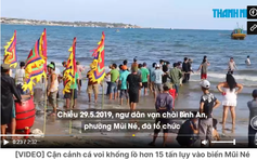 Cá voi trở lại Mũi Né: Tín hiệu bình yên từ biển?