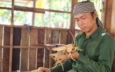 Chuyện chàng trai 8X 'thổi hồn' vào tre gai, tạo mô hình độc bản ở Tây Ninh