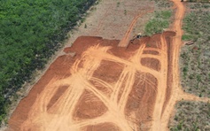 Đồng Nai: Bị xử phạt 30 triệu đồng vì làm biến dạng hơn 0,5 ha đất