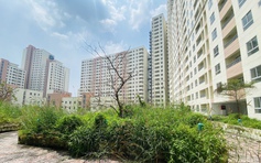 Để tránh lãng phí, nhà đất tái định cư bỏ hoang sẽ bị 'thu hồi'