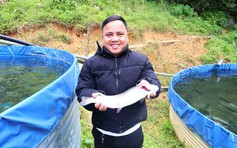 Nuôi cá xứ lạnh giữa đại ngàn