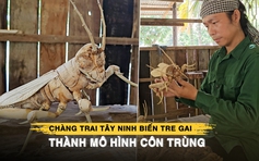 Chàng trai Tây Ninh biến tre gai thành mô hình côn trùng cực tinh xảo