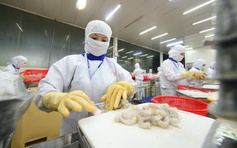 Kẹt đường Trung Đông, tôm cá ùn ùn 'bơi' qua Trung Quốc