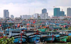 Đà Nẵng tính di dời cảng cá Thọ Quang, mở đường hình thành cảng du lịch