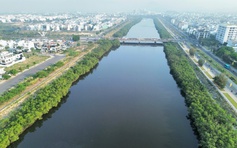 Dự án kè sông 590 tỉ ở Nha Trang ‘đứng bánh’ 5 năm vì... hai hàng cây